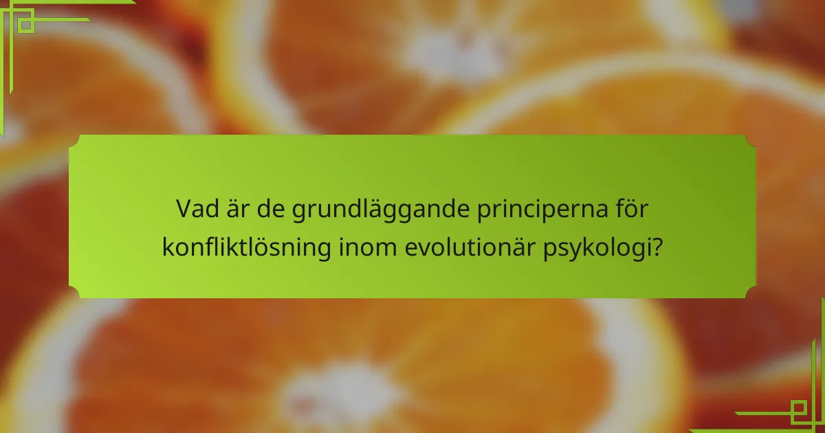 Vad är de grundläggande principerna för konfliktlösning inom evolutionär psykologi?